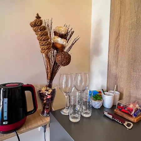 Apartamento и за гости 