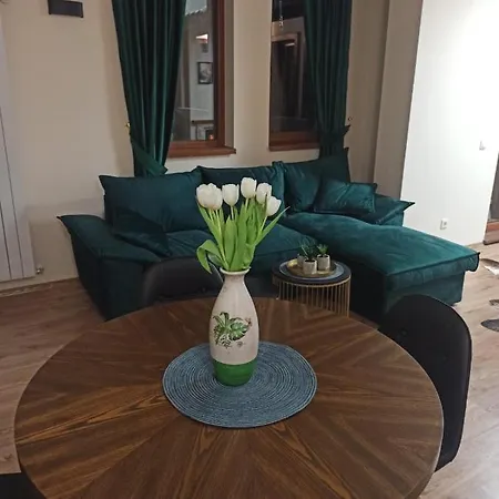 Apartamento и за гости 