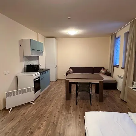Apartment и за гости 