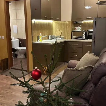 и за гости 