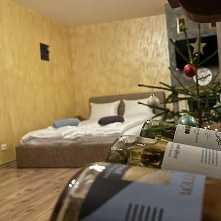 Apartamento и за гости 