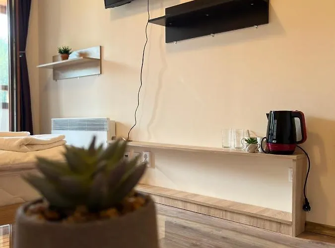 и стай за гости алекс Апартамент *