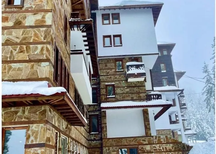 и стай за гости алекс