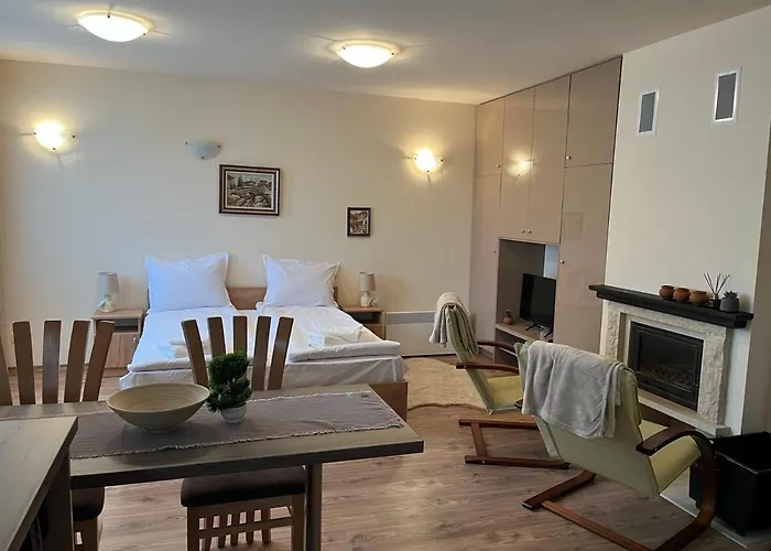 и стай за гости алекс