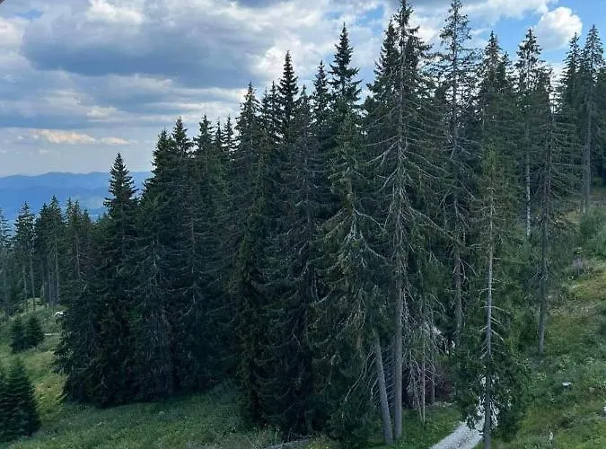 и стай за гости алекс Апартамент *