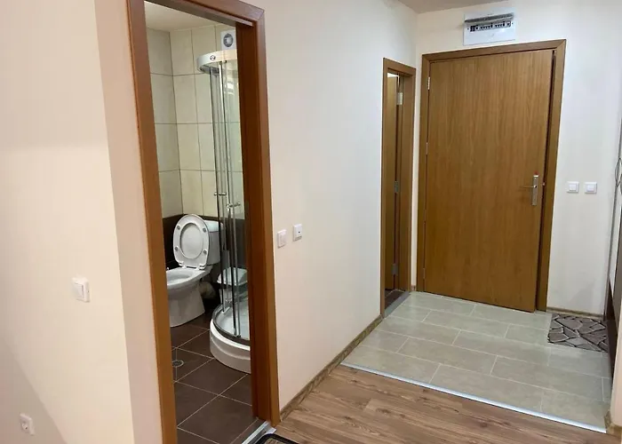 и стай за гости алекс *