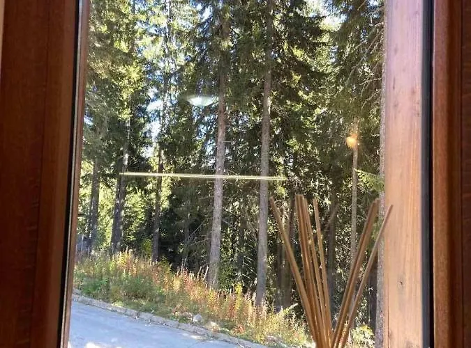 и стай за гости алекс *