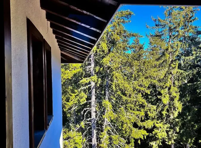 и стай за гости алекс Апартамент