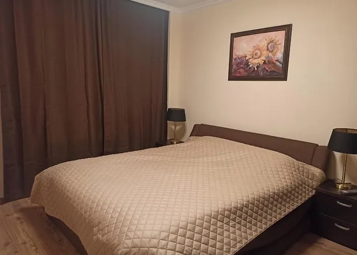 и стай за гости алекс