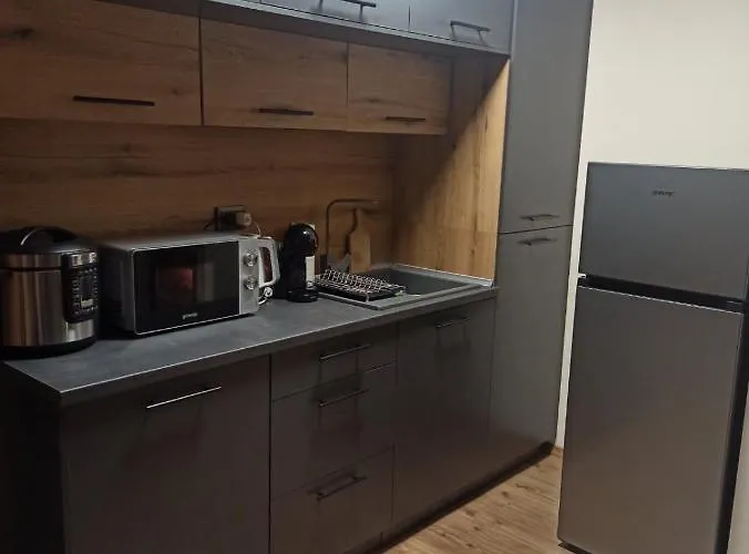 и стай за гости алекс