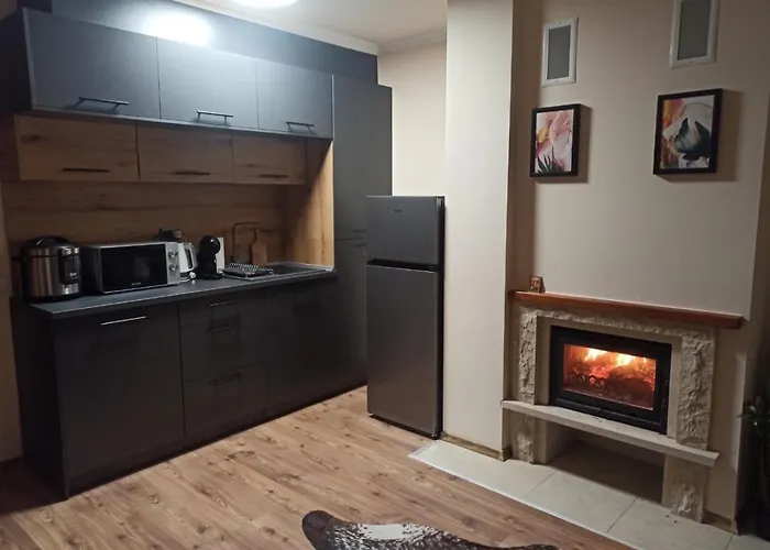 Апартамент и стай за гости алекс