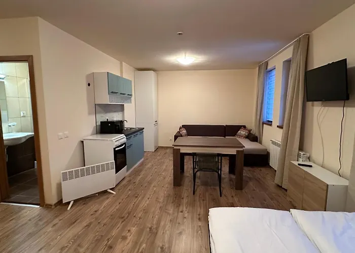 Апартамент и стай за гости алекс *