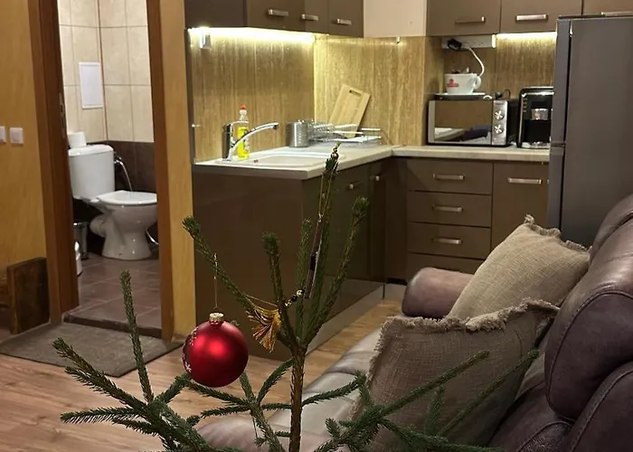 и стай за гости алекс Апартамент *