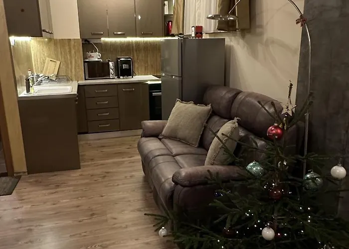 и стай за гости алекс Апартамент