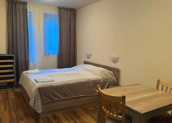 и стай за гости алекс *