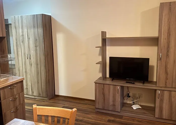 и стай за гости алекс Апартамент Пампорово