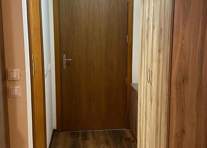 и стай за гости алекс Пампорово