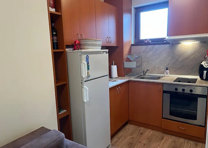 и стай за гости алекс *